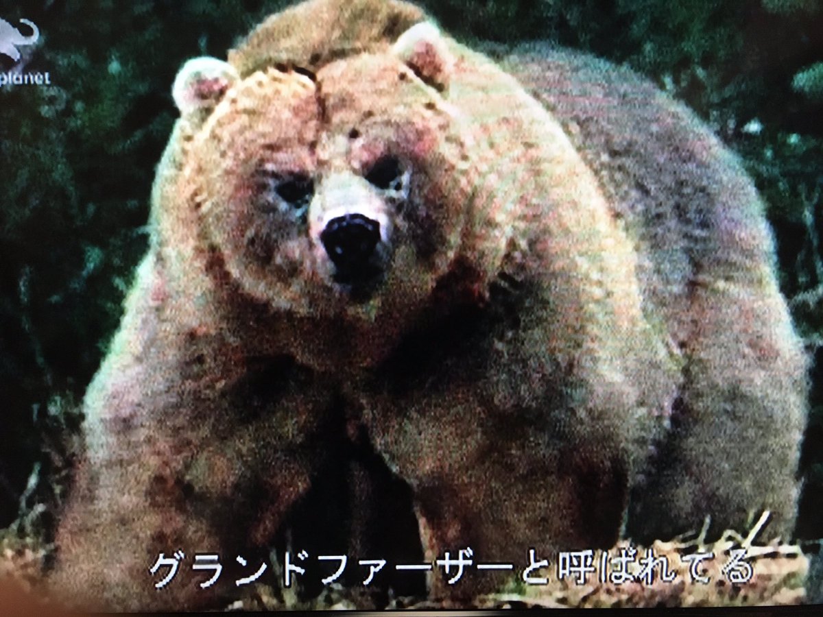 ショッピング グランドファーザー Marksdiamonds Com ショッピング グランドファーザー Marksdiamonds Com