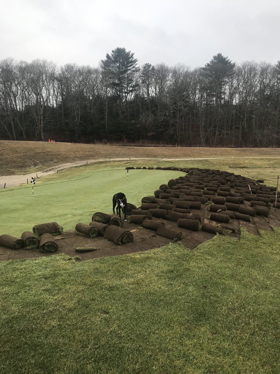 QuashnetValley's tweet photo. Practice green expansion underway https://t.co/XXlYMVd4N3