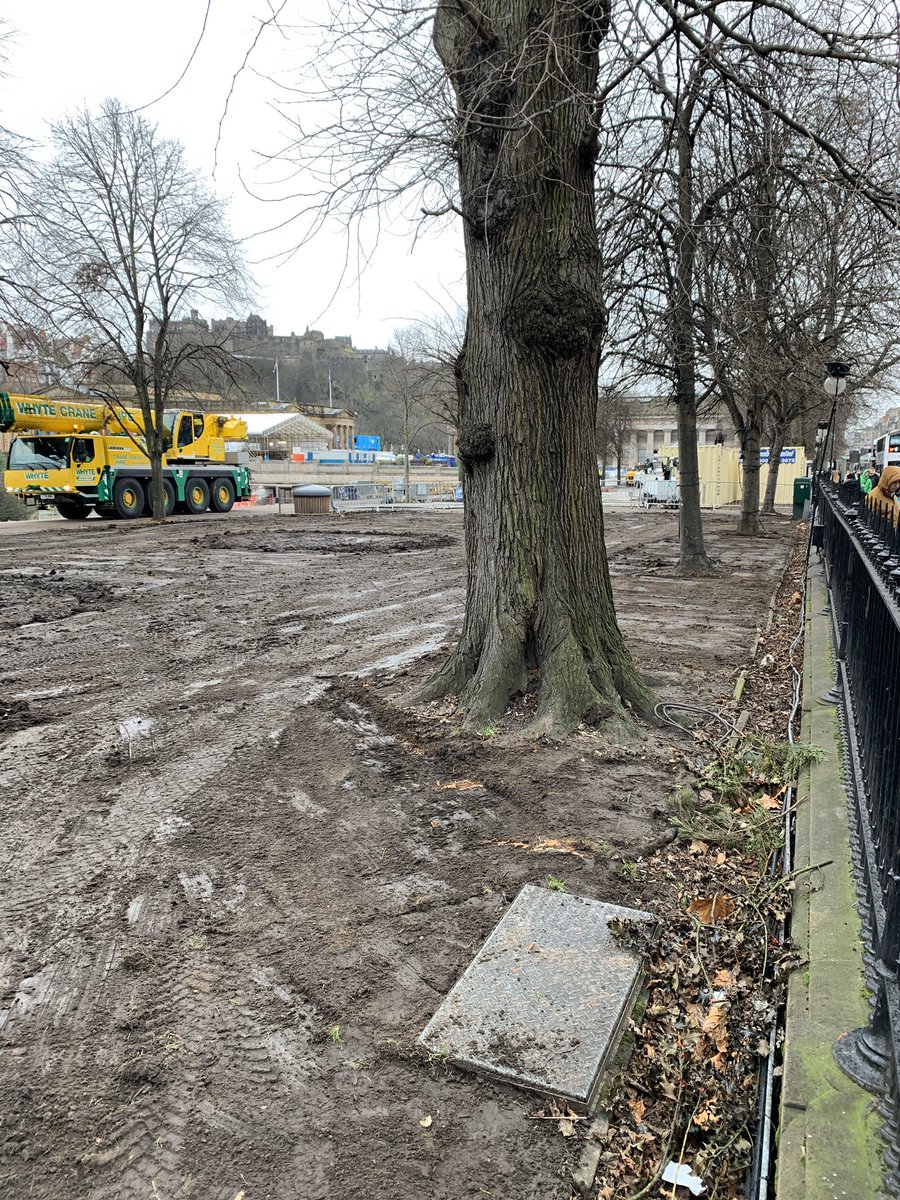 andyheald's tweet photo. @Edinburgh_CC @CllrCMiller @Edxmas Hi - Can you answer my question please - Walking past the site today, your contractors are deliberately compacting the soil around these trees. Why are you allowing this damage to occurr ? @adamrmcvey @FollowTheCow https://t.co/NsAx4ZaVf0