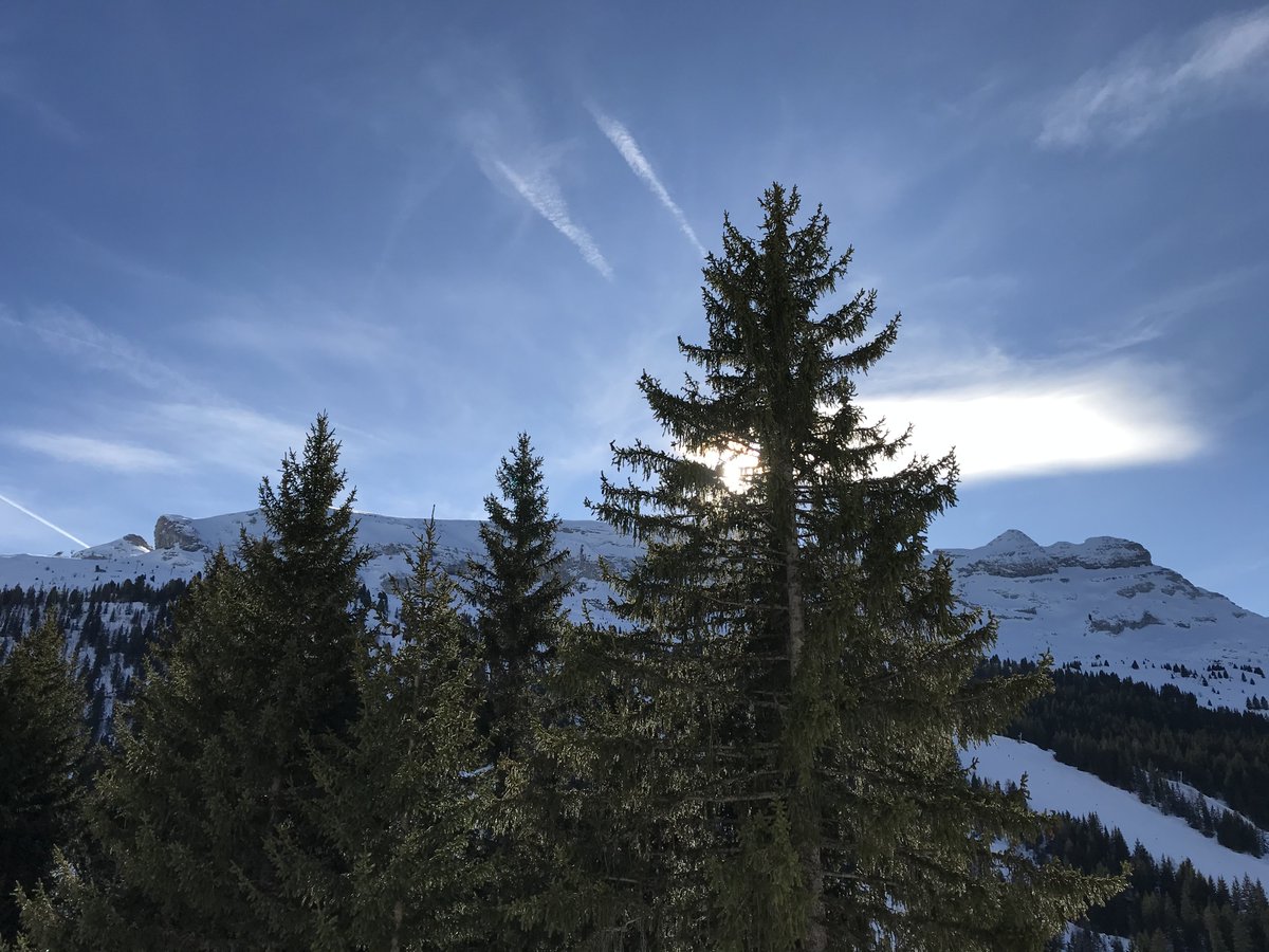 FLAINESki's tweet image. #flaine #photosoftheday #cacestflaine #snowconditions 😉👍🌞⛷️🌞🏂🌞 @FLAINESki #tiptopconditions