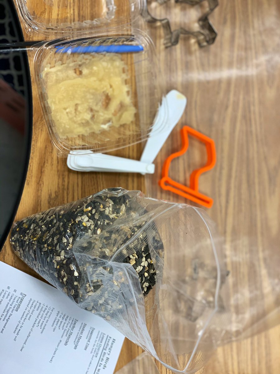 CubRunCongdon's tweet photo. Making seed cakes for the birds in our schoolyard!! #science https://t.co/gIdBwgkpvw