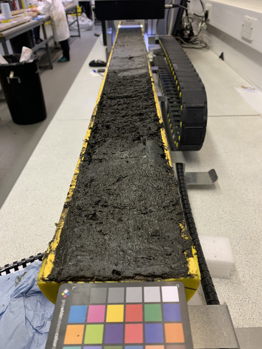 BOSCORF_NOC's tweet photo. Busy lab day with @Sed_Meg from @DurUniEarthSci and @RicardoSJacinto and Bernard Denneliou from @Ifremer_en. Six sediment cores split so far, lots more to go but some beautiful sediments so far! #coreaday #sedimentology #mud @DrGeoMillie @NOCnews #JC187 https://t.co/jkfNzRAJ5I