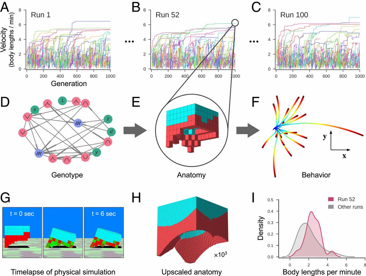 Montreal_AI's tweet image. A scalable pipeline for designing reconfigurable organisms
Kriegman et al.: pnas.org/content/early/…
#EvolutionaryComputation #ArtificialLife #Bioengineering