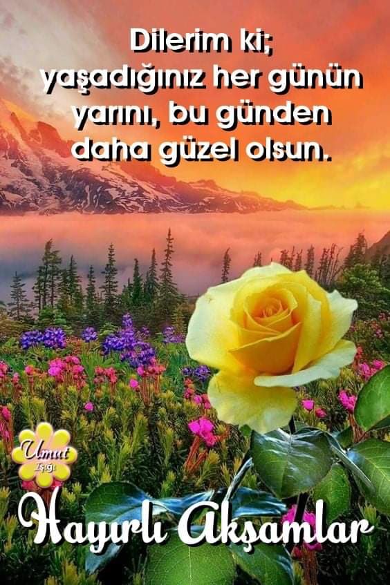 meral taban (@tabanmeral) on Twitter photo 