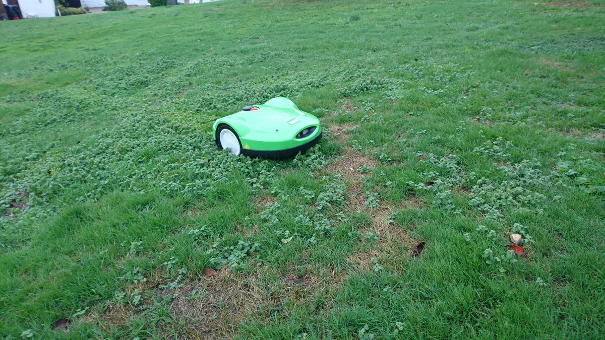 mower_robot's tweet photo. The mowers being put to the test #gardening https://t.co/7FV601vYpm