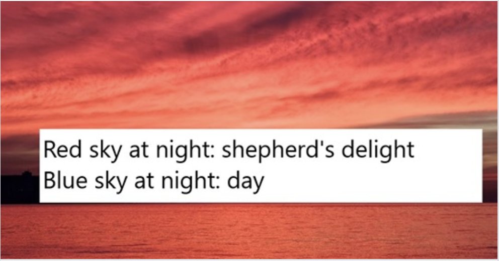 ThePoke's tweet photo. Just 19 more “shit jokes” to make you laugh because laughing is better than crying (via @ShitJokes) #recap
https://t.co/5Yor9lWiR8 https://t.co/PFMhHDm5Tk