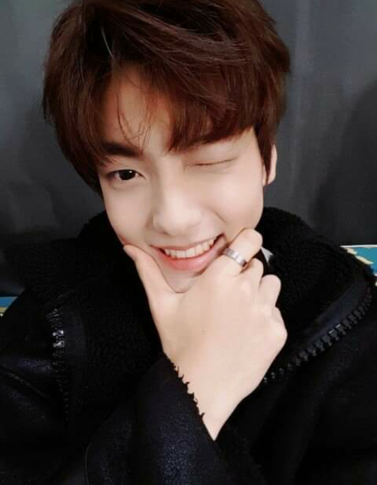 Waengchoi13's tweet photo. to our best leader soobin. happy first anniversary thank you for always take care to txt member thank you for everything 🐰💕

#OneYearWithSoobin #MOAsBestLeaderSoobin https://t.co/O6SF6ZyTZs