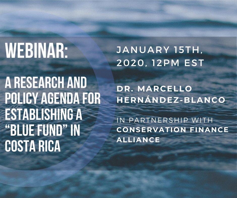 Marcello Hernandez-Blanco tweet media