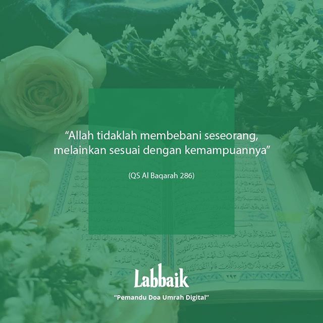 Labbaik_ID's tweet photo. Allah aja yakin sama kita kalau kita bisa melalui semuanya karena kehendak-Nya. Masa kita gak yakin sama diri kita sendiri? 
#albaqarah #quotes #quotesislam #hadist #Kabah #umrohplus #umrohbackpacker #infoumroh #umroh2020 #infohaji #hajidanumrah #umrahmu… https://t.co/lVWG4WWx3h https://t.co/KofzjrqtKx