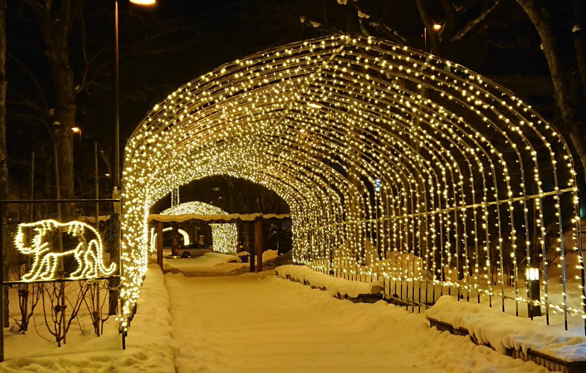 旭川イルミネーション