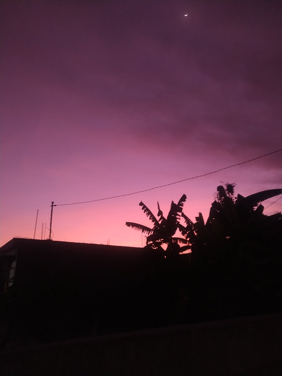 not ur type tweet media