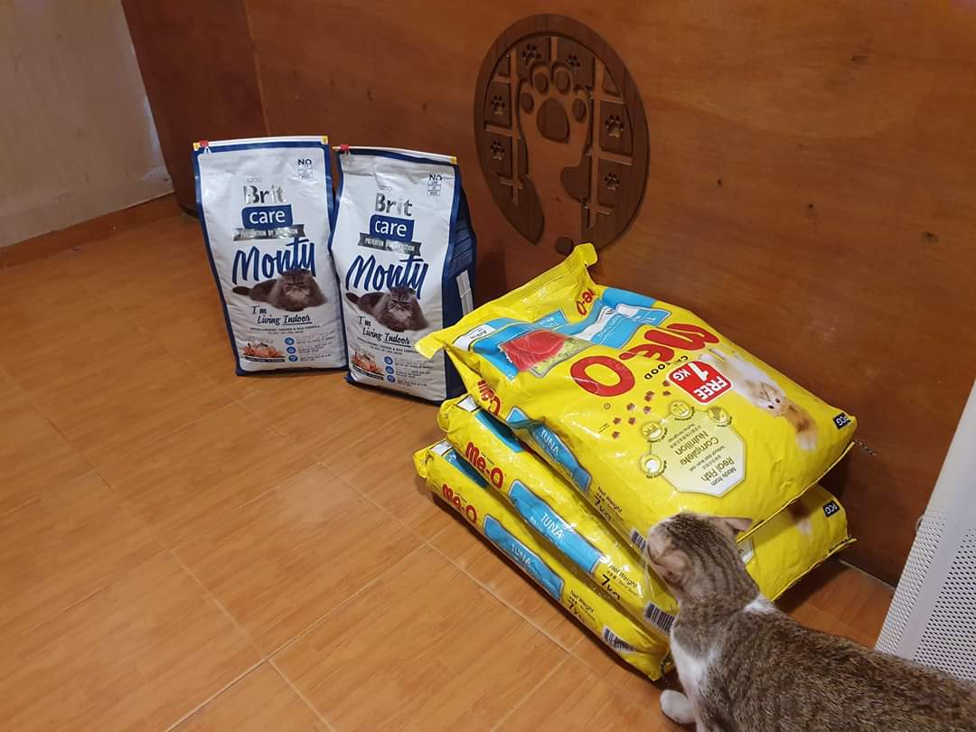capawcino's tweet photo. You can now pick up Cat Food and Cat Litter for your furry little friends from Capawcino Cat Cafe!
Available Items: https://t.co/UwKiw8qXOL
#capawcino #catcafe #capawcinocatcafe #cafe #capawcinoshop #catfood #catlitter #litter #whiskas #meo #paws #britcare https://t.co/JGZ7alPyIh