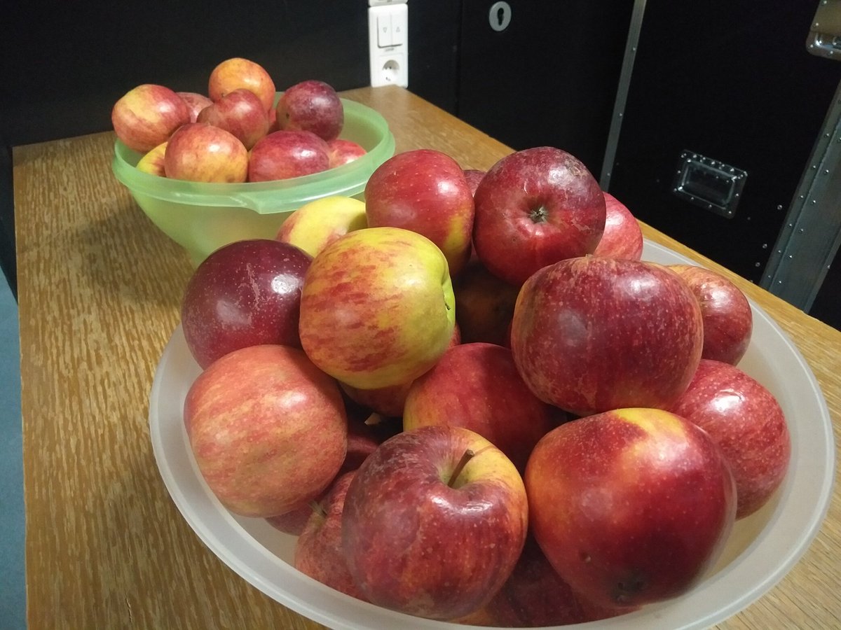 Carola Egger tweet media