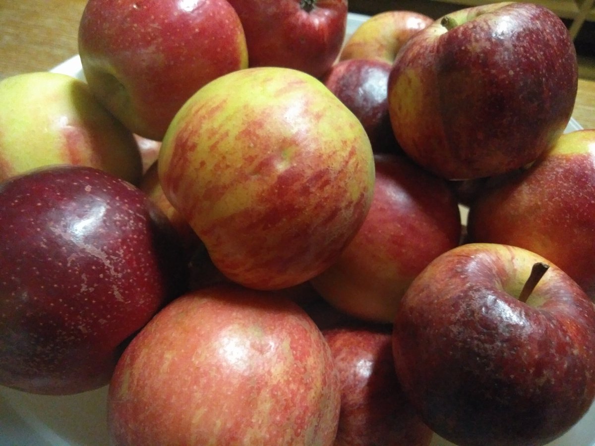 Nutrition is also important during a conference! We provided apples for your brains in the back of the conference room #negot2020 <a href="/UmbrellaGroup10/">Umbrella Group</a> <a href="/2020G77/">G77 2020</a> <a href="/LDC20201/">@LDC2020</a> <a href="/EuropeanUnion12/">European Union</a>  <a href="/SIDS_UNSim2020/">Small Island Developing States - BoKu 2020</a> <a href="/BASIC20202/">BASIC2020 🇧🇷🇿🇦🇮🇳🇨🇳</a> <a href="/AilacG/">AILAC Group #negot2020</a> <a href="/UmbrellaGroup10/">Umbrella Group</a> <a href="/AfricangroupNC/">AfricanGroup_NC</a> <a href="/negot2020/">League of Arab States</a> @ALBA_NEGOT2020