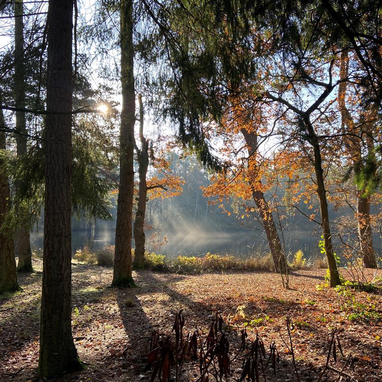 WoldersVen's tweet photo. Er zijn nu geen gasten in het Wolders Ven, de vrijwilligers doen klusjes om de villa in orde te maken voor de nieuwe gasten.
Wel kunt u een wandeling maken in het Burgemeester Ossepark waarin het Wolders Ven aan het Lisseven ligt.
#zorgvilla #waalre #vrijwilligers #wandeling https://t.co/H8nviSs86j