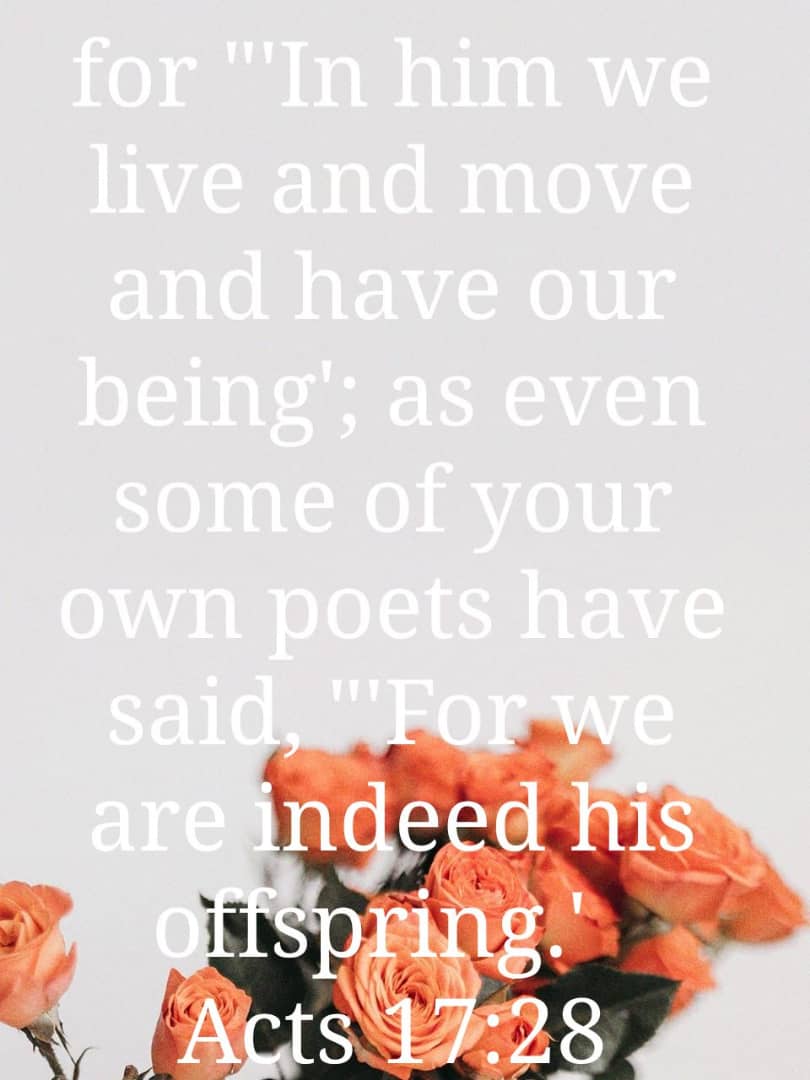 lorrainevimbai's tweet photo. https://t.co/L9lki3TmM3