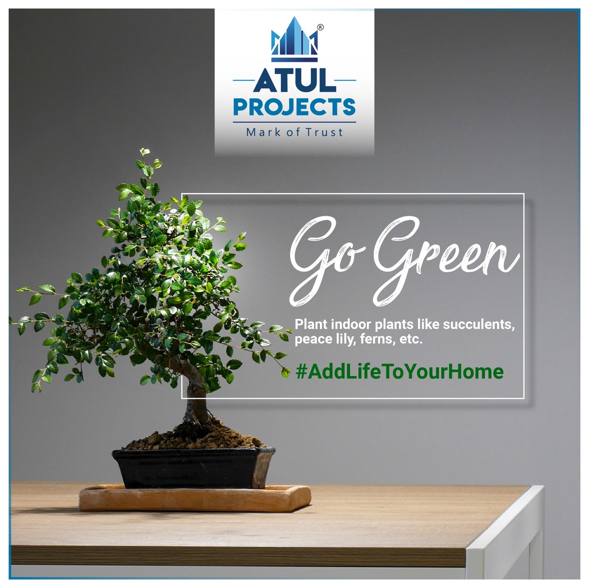 AtulProjects's tweet photo. Bring home the freshness with indoor plants. #GoGreen #AddLifeToYourHome
#AtulProjects #Residential #AddLifeToYourHome #GoGreen #PlantIndoor #PremiumLiving #Lifestyle #Luxury #ApartmentInMumbai #LifeInMumbai #RealEstate #LuxuryLiving #MarkOfTrust https://t.co/4mZZeciWV5