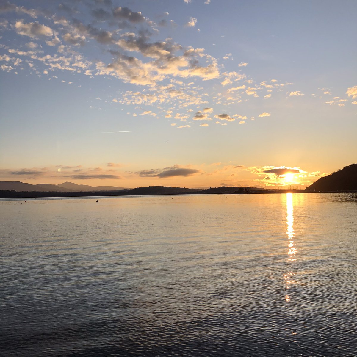 Soup Creative tweet media