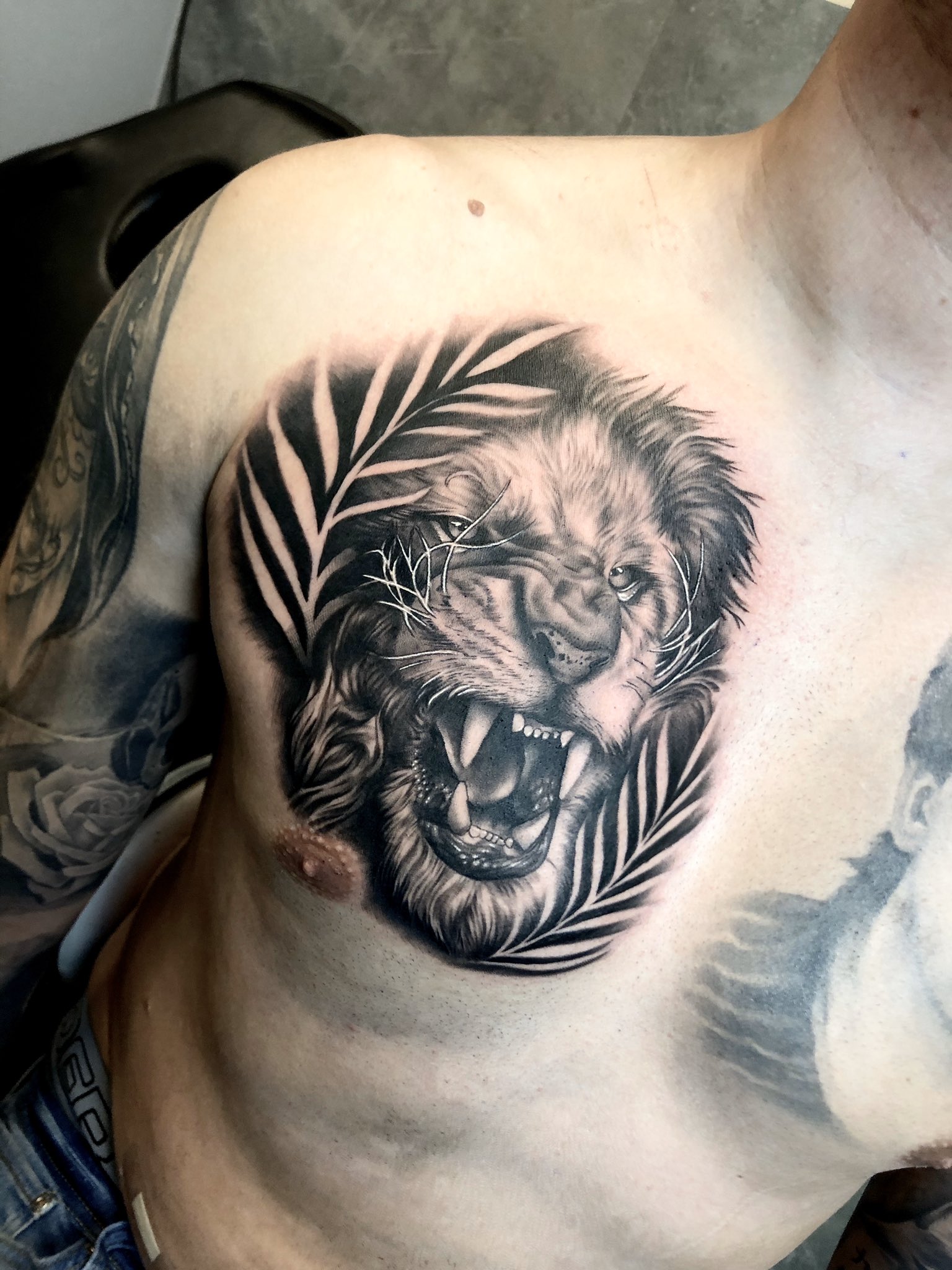 100 Ink Lion Chest Tattoo Design png  jpg 2023