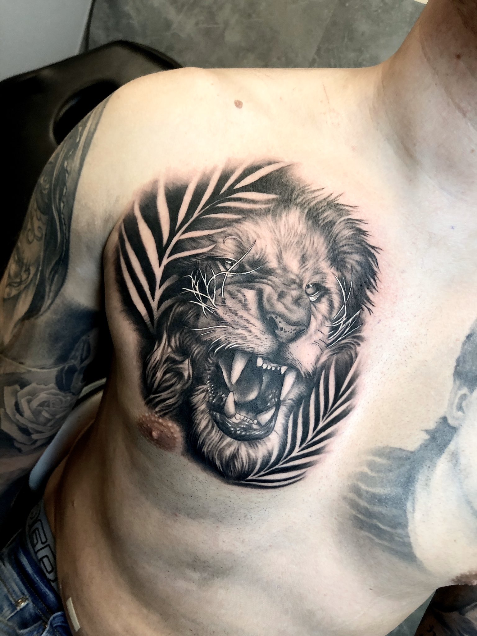 Roaring Lion Chest Tattoos