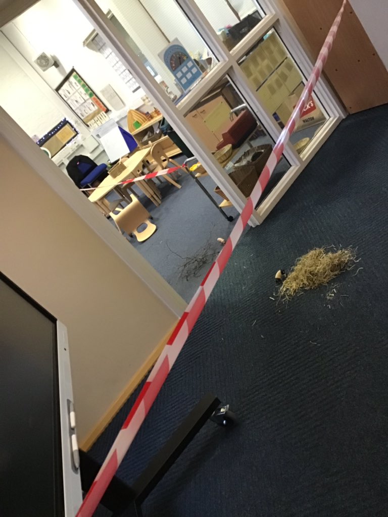 asmreception's tweet photo. There has been a wolf on the loose in Reception! He made a mess of our classroom and left us mixed up messages to put together. He has taken a pig so we are making posters to help get him back! 🐷 🐺 #missingpig https://t.co/KtltDClg20