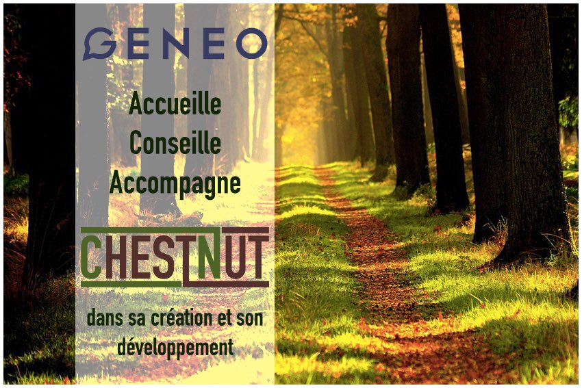 ChestNutFrance's tweet photo. Pour sa création, son développement, et fixer ses premières racines au sein de la région @auvergnerhalpes, #ChestNut a choisi l'incubateur GENEO, situé à @VilledeValence dans la Drôme. https://t.co/6gXDt7PeiC