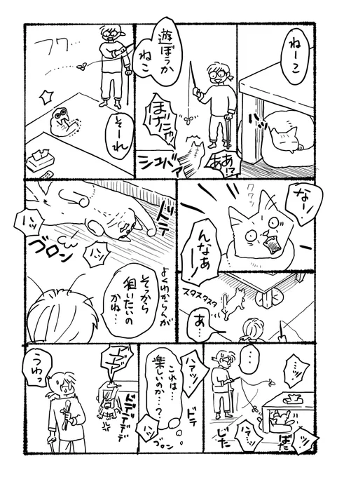 足が良くなってきて久しぶりに猫と遊んでみたんですが若干以前と楽しみ方が違っていた話。楽しかったようです。 