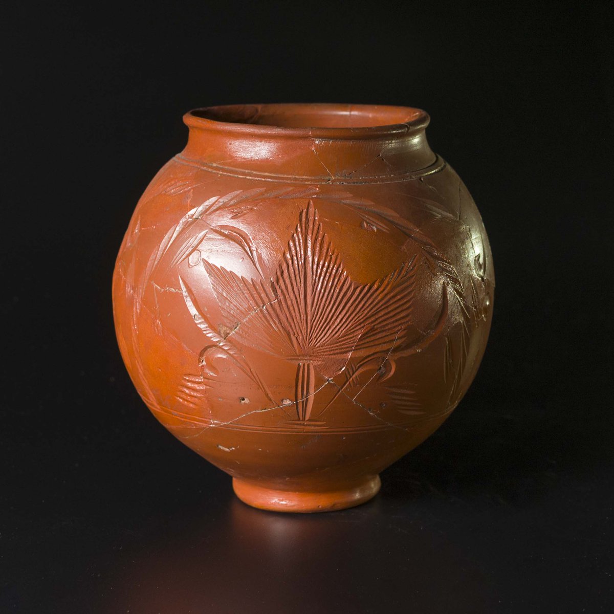 York Romans Project tweet media