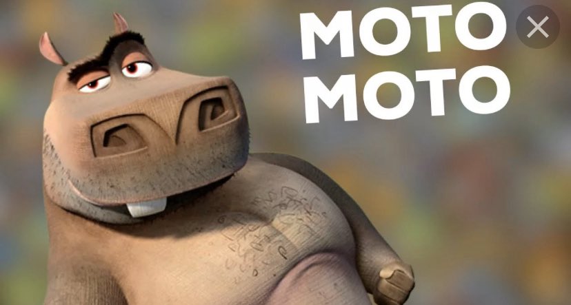 бегемот мото мото из мадагаскара. мота мота из мадагаскара. мота мота из мадагаскара. Moto moto мем. герои мадагаскара мото мото.