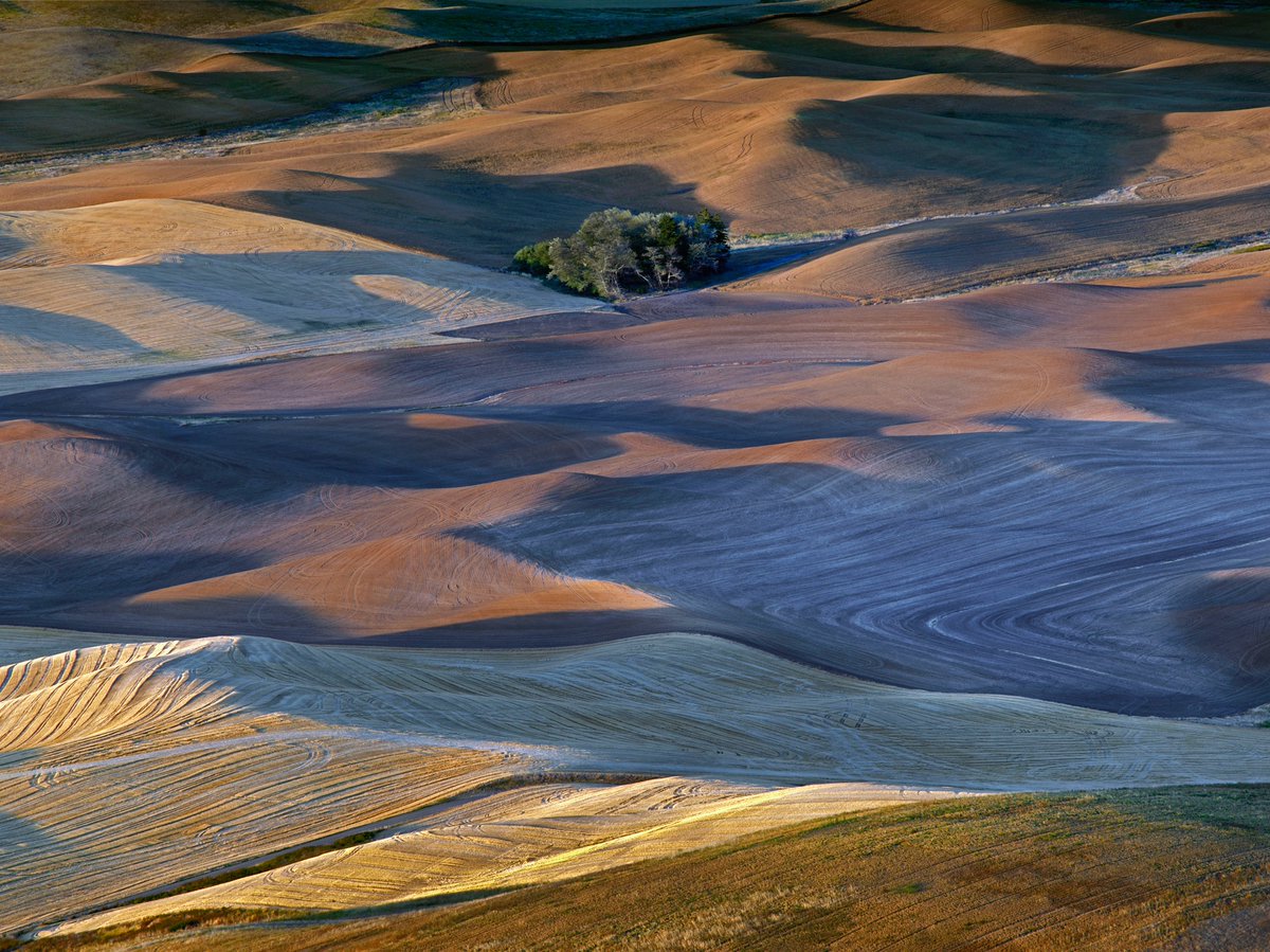 Charlie_Waite1's tweet photo. PALOUSE, WASHINGTON STATE

It is quite possibly no secret that I hugely enjoy unraveling the construction of an image. The eye of its audience can often make a favourable or an unfavourable response in as short a time as a second. https://t.co/HdSHYL6cZt
