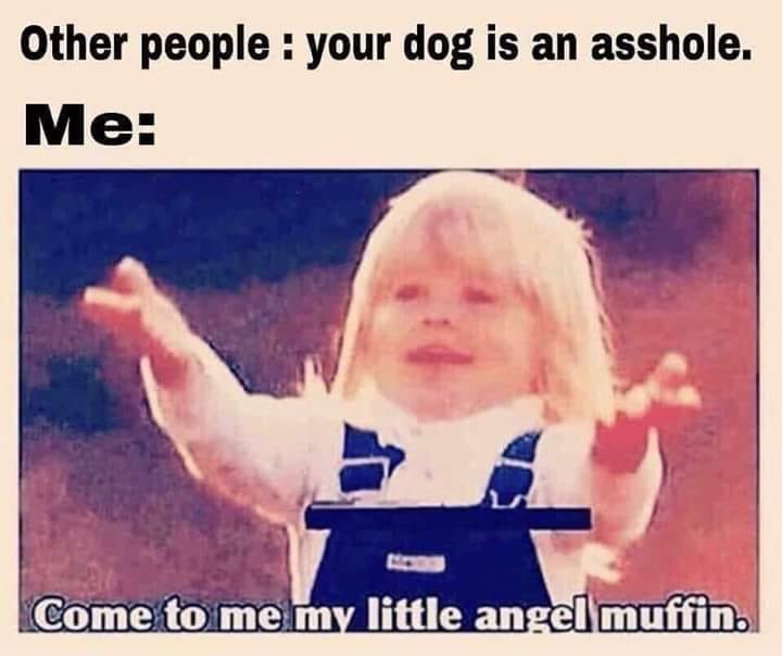 jaelinpalmer's tweet photo. 😇😇😇 #angelmuffin https://t.co/9YoxvdujQG
