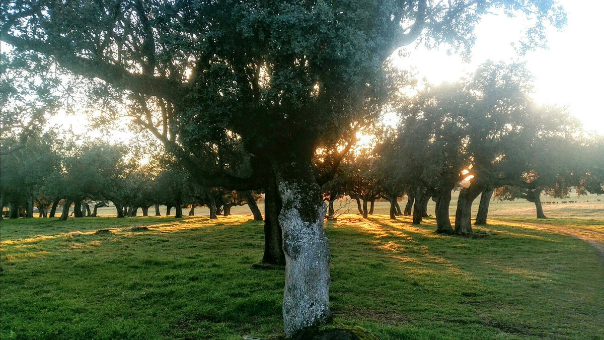 mar_espioja's tweet photo. Finca ESPIOJA ..... Paraíso natural https://t.co/smKxOFnirp