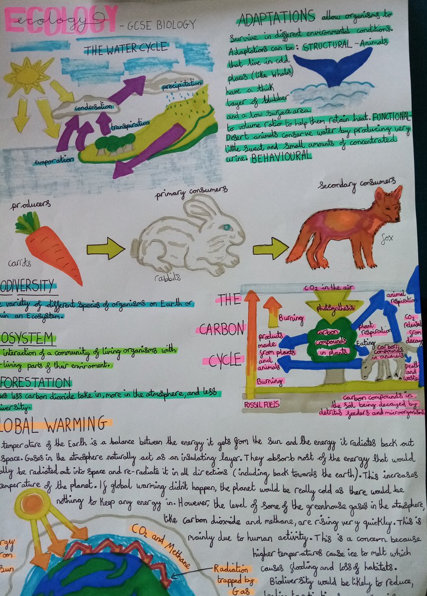 R E A L Education On Twitter An Amazing Piece Of Work From A