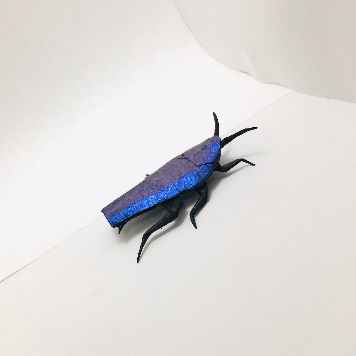 すぎぽよ 勝田恭平さんのゴキブリ Cockroach Designed By Kyohei Katsuta cm雁皮紙 水彩絵の具 完成後塗装 より From One Sheet Of Square Paper ルリゴキブリテイスト 脚とか裏側は何色なのか分からなかったので 黒のままにしときました