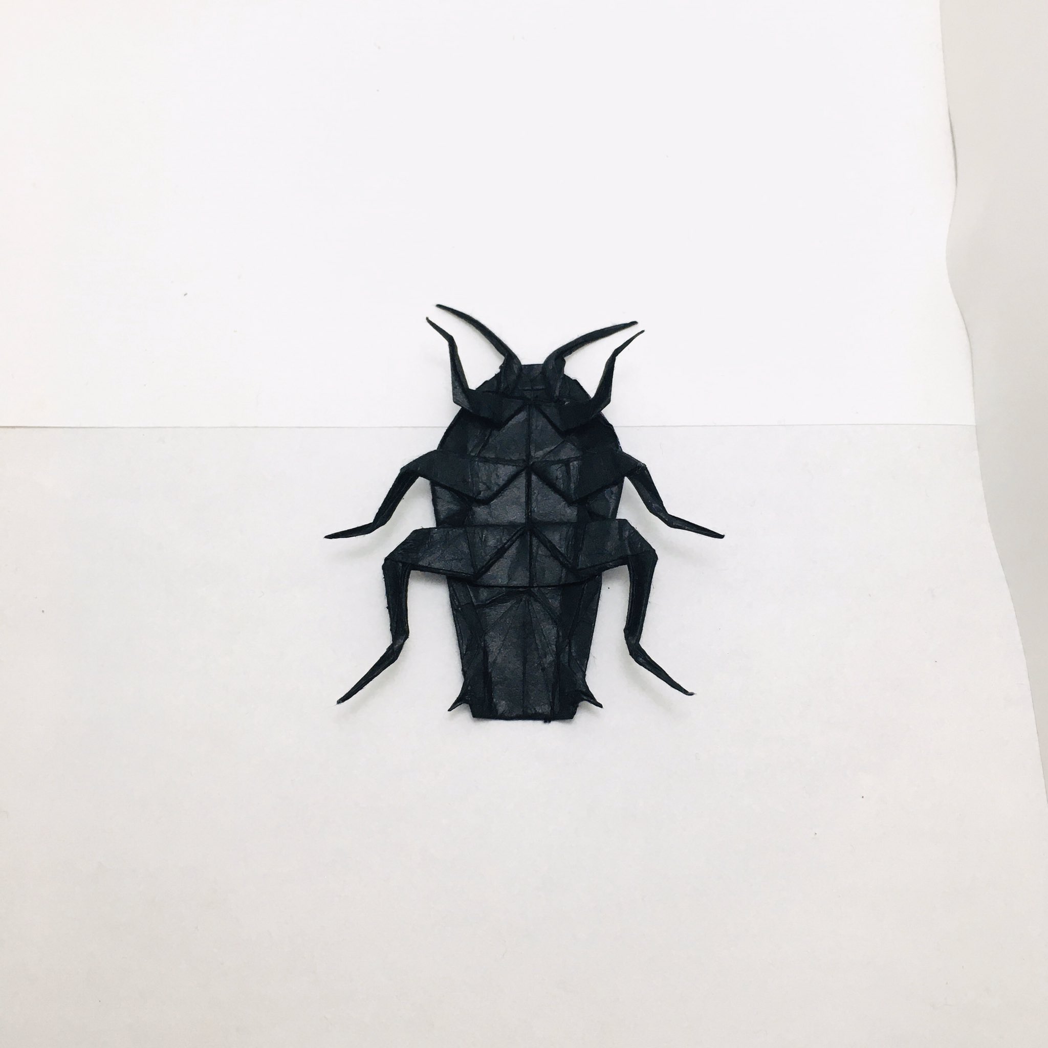 すぎぽよ 勝田恭平さんのゴキブリ Cockroach Designed By Kyohei Katsuta cm雁皮紙 水彩絵の具 完成後塗装 より From One Sheet Of Square Paper ルリゴキブリテイスト 脚とか裏側は何色なのか分からなかったので 黒のままにしときました すぎぽよ 勝田恭平さんのゴキブリ Cockroach Designed By Kyohei Katsuta cm雁皮紙 水彩絵の具 完成後塗装 より From One Sheet Of Square Paper ルリゴキブリテイスト 脚とか裏側は何色なのか分からなかったので 黒のままにしときました