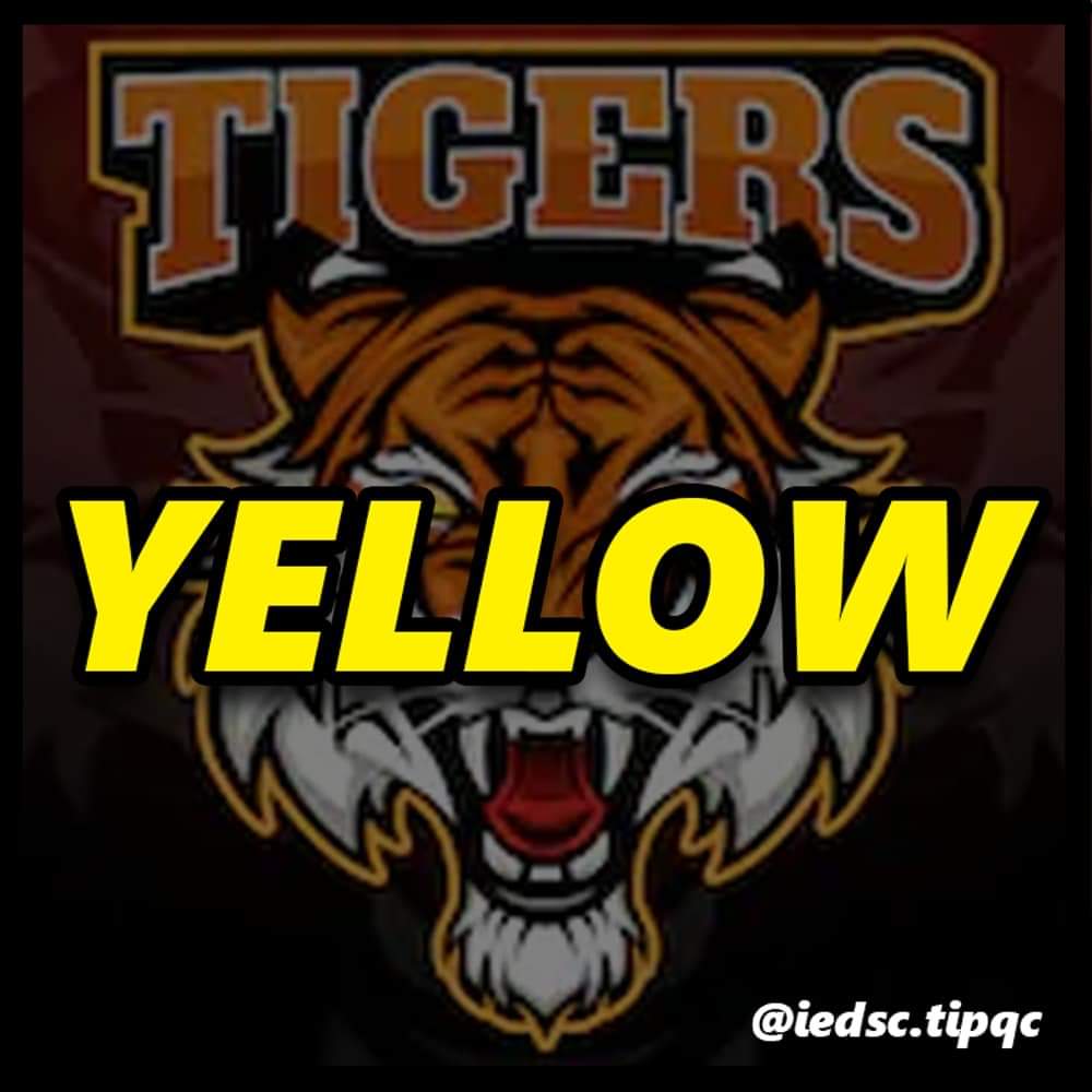 bsietipqc's tweet photo. Come, Cheer and Support our very own IE ROARING TIGERS on their Battle for 3rd Place match in this yearโs Basketball Tournament for Interdepartment Sportsfest - Tomorrow, January 15, 2020, 1:30PM at PE Center 2.
#RoarForIE
#BattleForThird
#YellowBrigade https://t.co/MdNimAecbZ