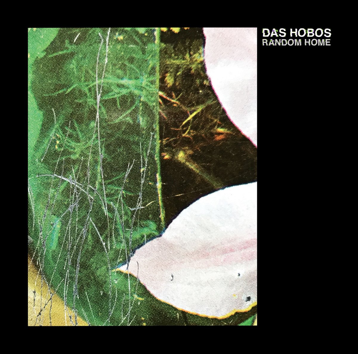 das_hobos's tweet photo. Just one month to go.... our new Album "Random Home" will be released February 14th on @Schamoni_Musik (LP+digital)
🎧🎉
#randomhome #dashobos #schamoni https://t.co/KUaO0D1XqD