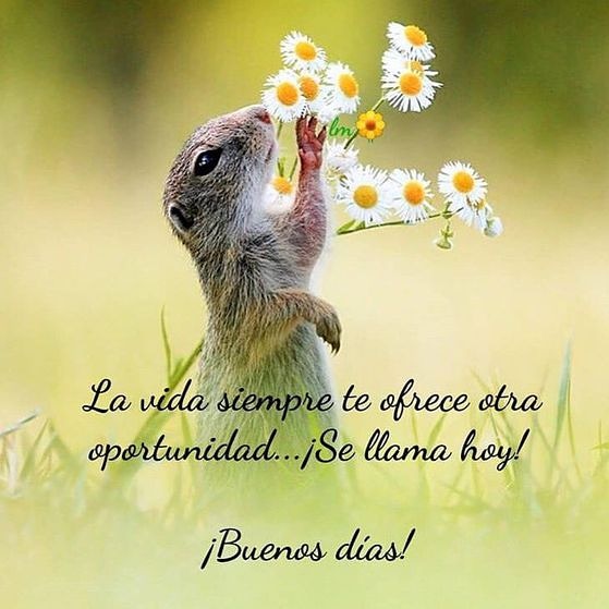 MAARIAA456's tweet photo. Feliz MARTES !! A Tod@s ..💙💛 https://t.co/ZOp2k6xeqA