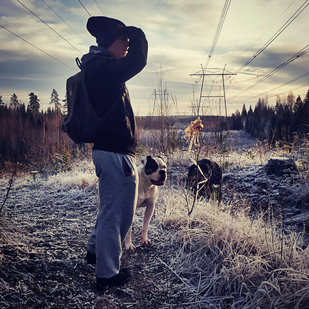 AlaricBeats's tweet photo. Exercising and spending time outside gives some extra energy for rest of The Day. And when you already push yourself to The limit on daily basis, that extra energy can make a huge difference! 🔥💯💯

#Alaricbeats #nature #frost #cold #finland #winter #outside  #exercise #walking https://t.co/iZ5blBnXyE