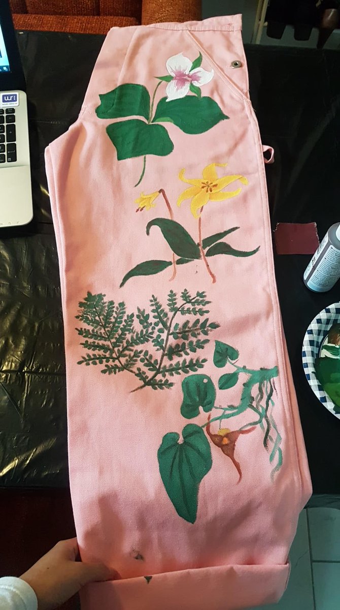 Ben_D_Rubin's tweet photo. As registration approaches for #OUPFB #Biology #FieldCourses, news a former student, Katie, who took my #Adirondack  course in 2019 and painted her favorite #Adirondack #wildflowers on her O-week overalls! Beautifully done! @westernuBio @McMasterU @westernuScience #OUPFBDacks https://t.co/vqG679f3EV