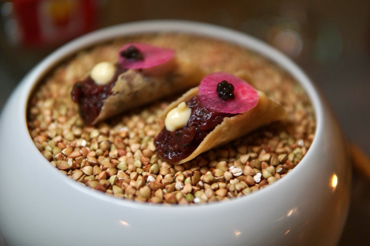 Launceston Place tweet media