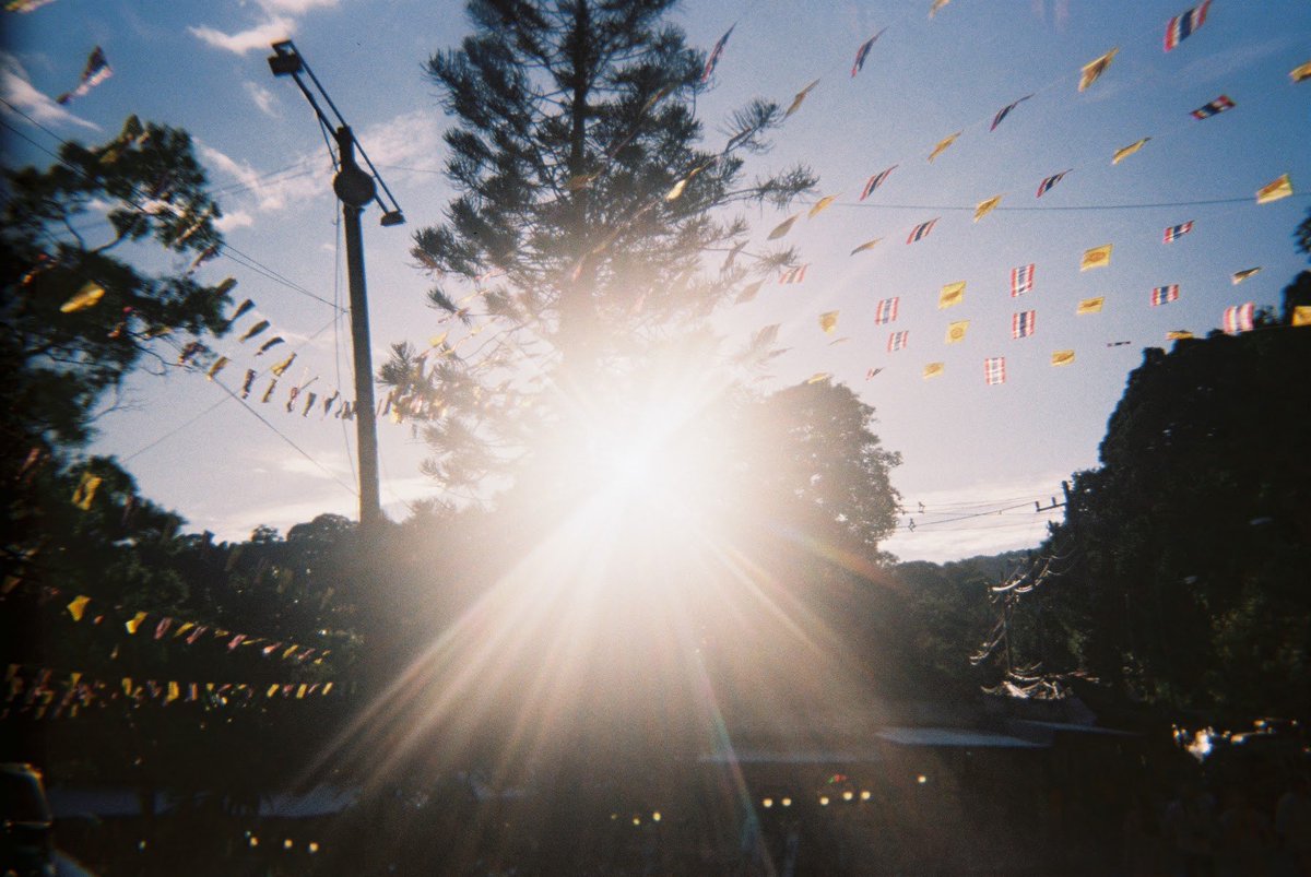 jantothejanz's tweet photo. Doi Suthep ,Chiang Mai ,Thailand 🇹🇭

#jalalalaxfilm
#filmphotography #film #kitkatcamera #กล้องคิทแคท https://t.co/rAN1KoHg1L