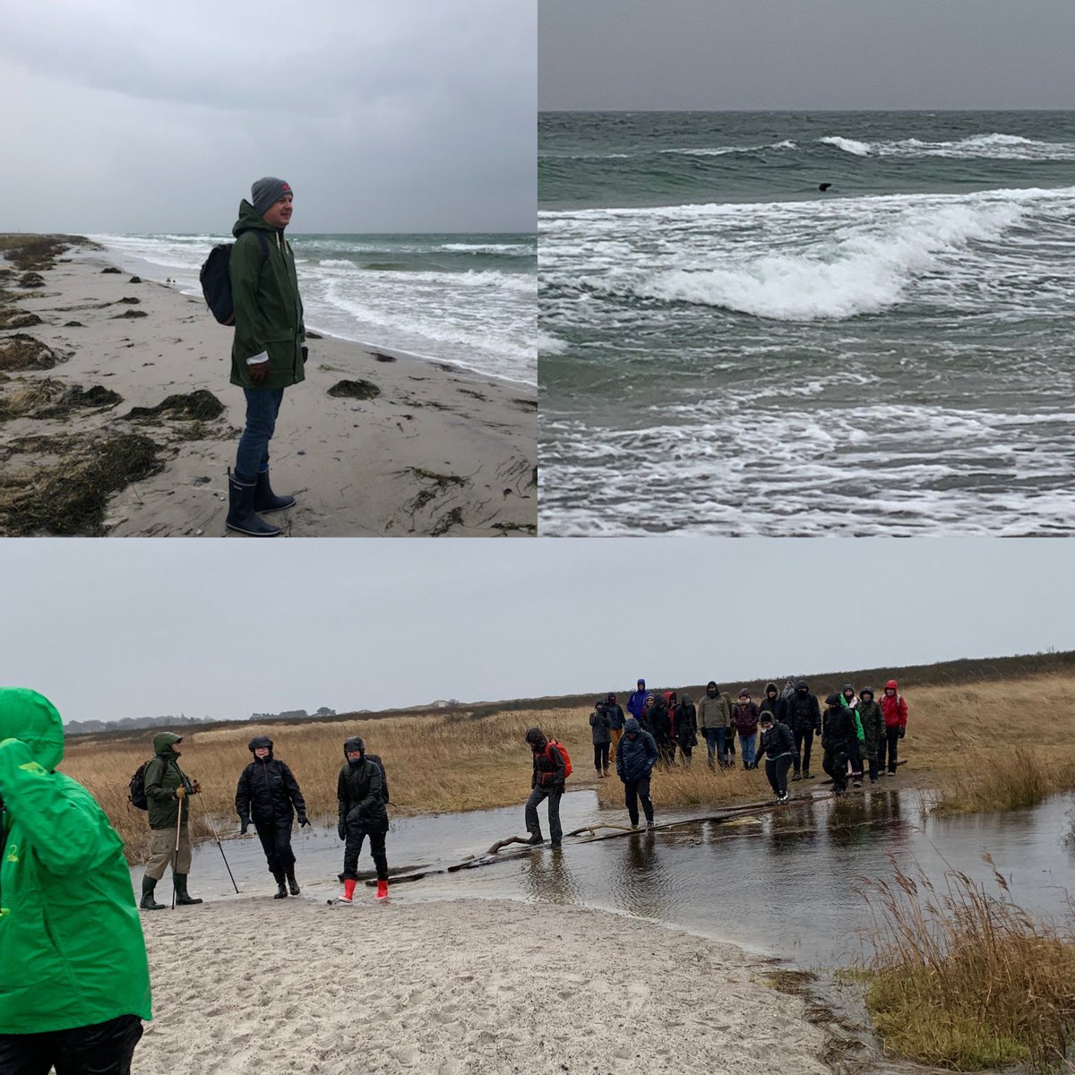 Johan Jakobsson (@jakobssonlab) on Twitter photo Wonderful lab outing with <a href="/ParmarLab/">Parmar Lab</a> and Lundberg lab at Falsterbo. Rain, storm, waves and seals. What’s not to like about Scandinavia? Apply for a postdoc position now! Wonderful lab outing with <a href="/ParmarLab/">Parmar Lab</a> and Lundberg lab at Falsterbo. Rain, storm, waves and seals. What’s not to like about Scandinavia? Apply for a postdoc position now!