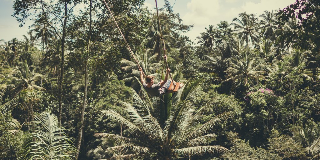 Hightrees.org tweet media