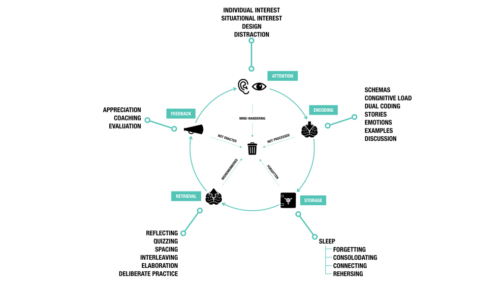 EMManchester's tweet photo. A decade of education theory; the rise and rise of cognitive science of learning. #FOAMed from @stemlyns and @nickharveysmith https://t.co/Wh2yErkVCe https://t.co/AcKV4nLGr5