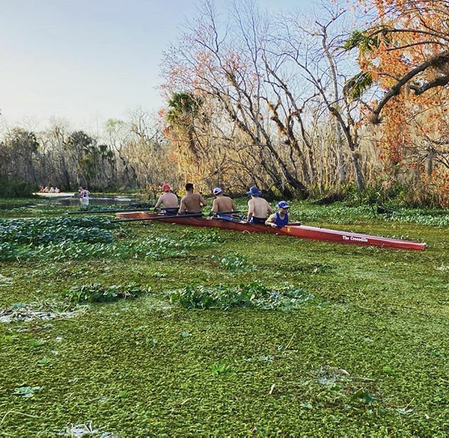 Doing the Loop in Deland with Marist Rowing!  #marist #maristrowing #messingaboutinboats #jungle #heartofdarkness #epic #nosnowhere #wintertraining #vespoli #row2kpotd