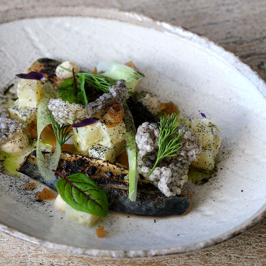 Have you popped in yet to try out our new menu? Full of seasonal produce, new options like the smoked Cornish mackerel paté with cucumber, avocado and wasabi are making a big hit.