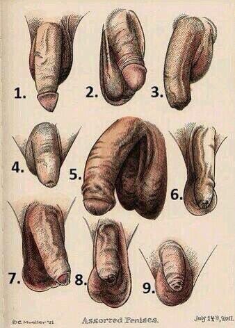 Punkcocks's tweet photo. Curiosidad total, quiero saber cual es más común de todos 🖤🖤🖤 https://t.co/UuWNrKwIwo