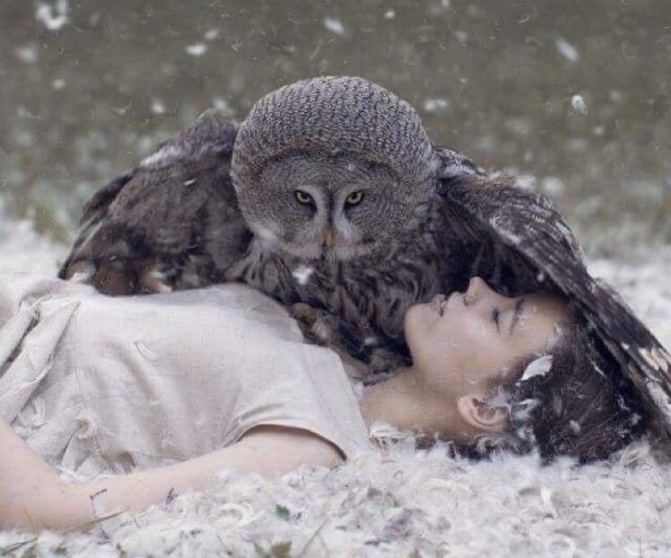 melanie_korach's tweet photo. Please join me in this affirmation:

Today I am wrapped 
in the loving arms 
of the Universe &amp; I 
trust in the signs
I receive. 
And I am open to 
these signs that 
the Universe has 
lovingly sent to me. 

M.K #StarfishClub https://t.co/mbVZuHycRM