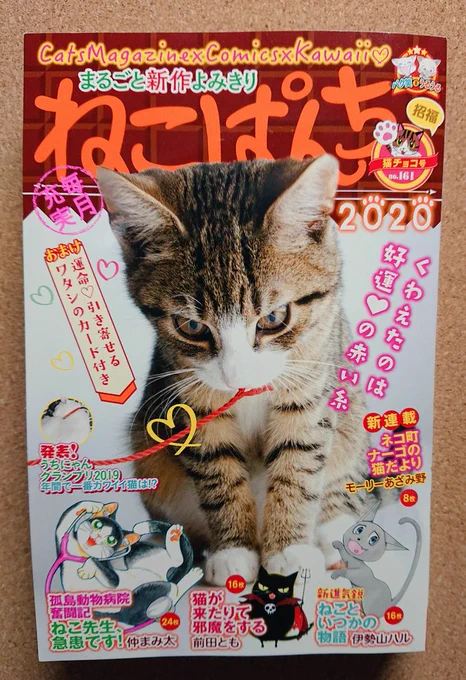 ねこぱんち今年一号目発売中ですよー!まだまだ1月ですがバレンタインのお話です。いちごとクロ丸です。勝手に動いてくれる子たちです。よろしくお願いいたします! 